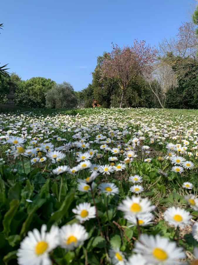 Le Jardin De Lacoste Нарбон Екстериор снимка