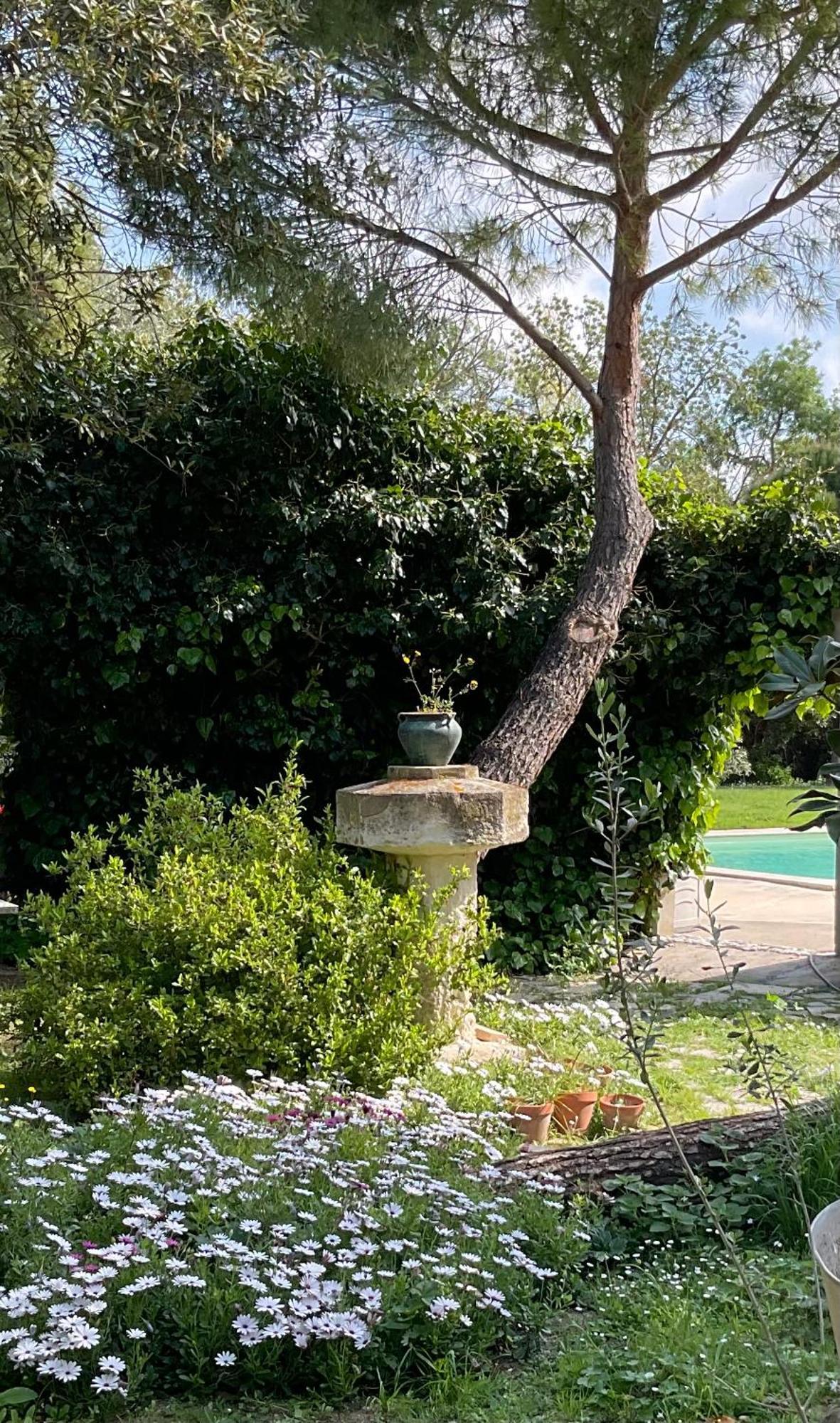 Le Jardin De Lacoste Нарбон Екстериор снимка